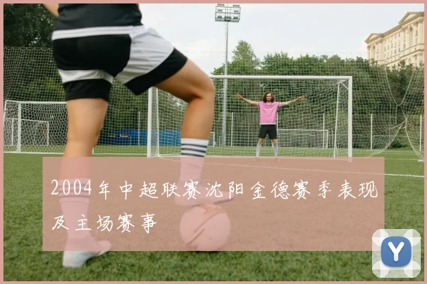 2004年中超联赛沈阳金德赛季表现及主场赛事