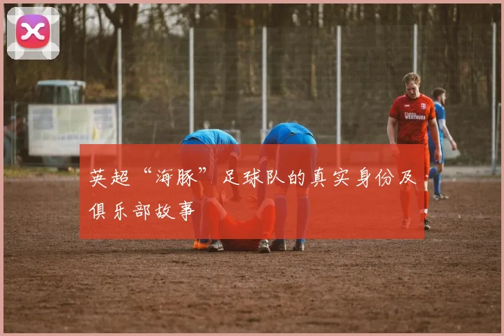 英超“海豚”足球队的真实身份及俱乐部故事